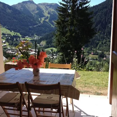 Cosy 2 Pièces, 5 Pers, Animaux, Parking - Fr-1-676-139 Châtel
